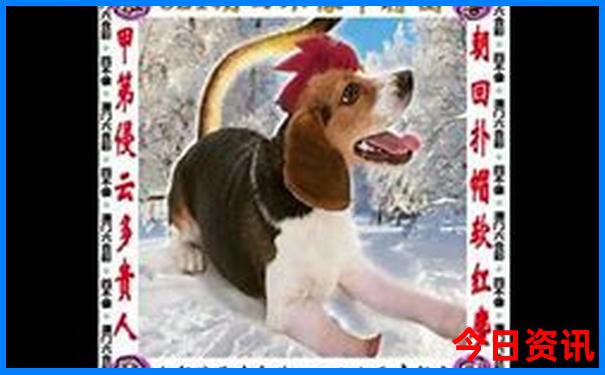 湖南十大名胜古迹